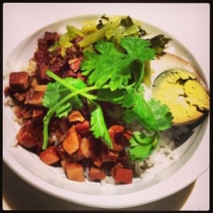 Yummy Braised Minced Pork Rice (魯肉飯)