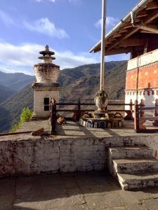 Monkeys roam around freely in the dzong