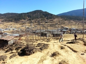 Reached Ura Valley in 1.5hrs