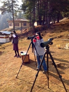 Searching for a crane