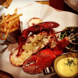 Steamed Whole Lobster