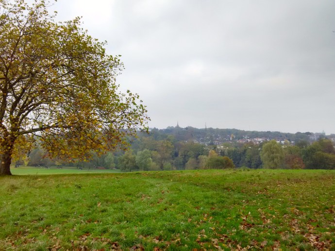 At the top of the hill