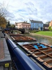 Rows of waiting punts