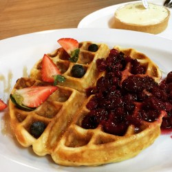 Waffle with Summer Berries