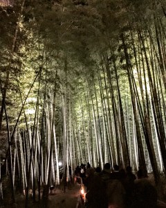 2015-12-02 17.51.58-2