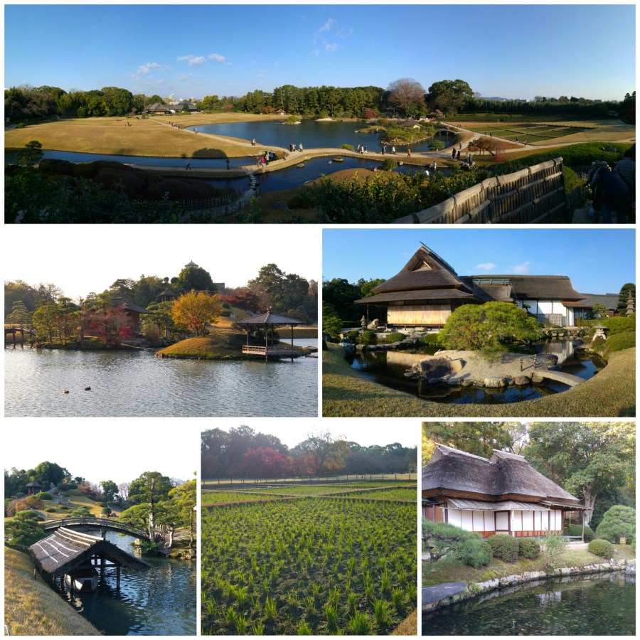 wp-1452135250729 image