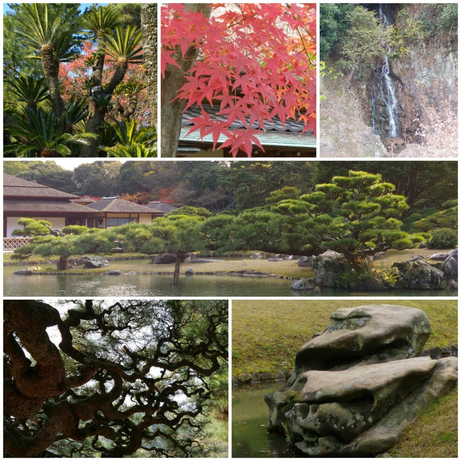 wp-1452135348176 image